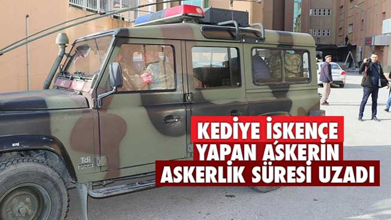 Kediye işkence yapan askerin askerlik süresi uzadı