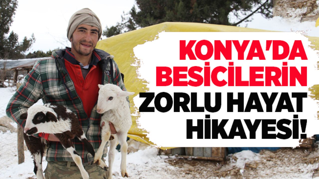 Konya'da besicilerin zorlu hayat hikayesi!