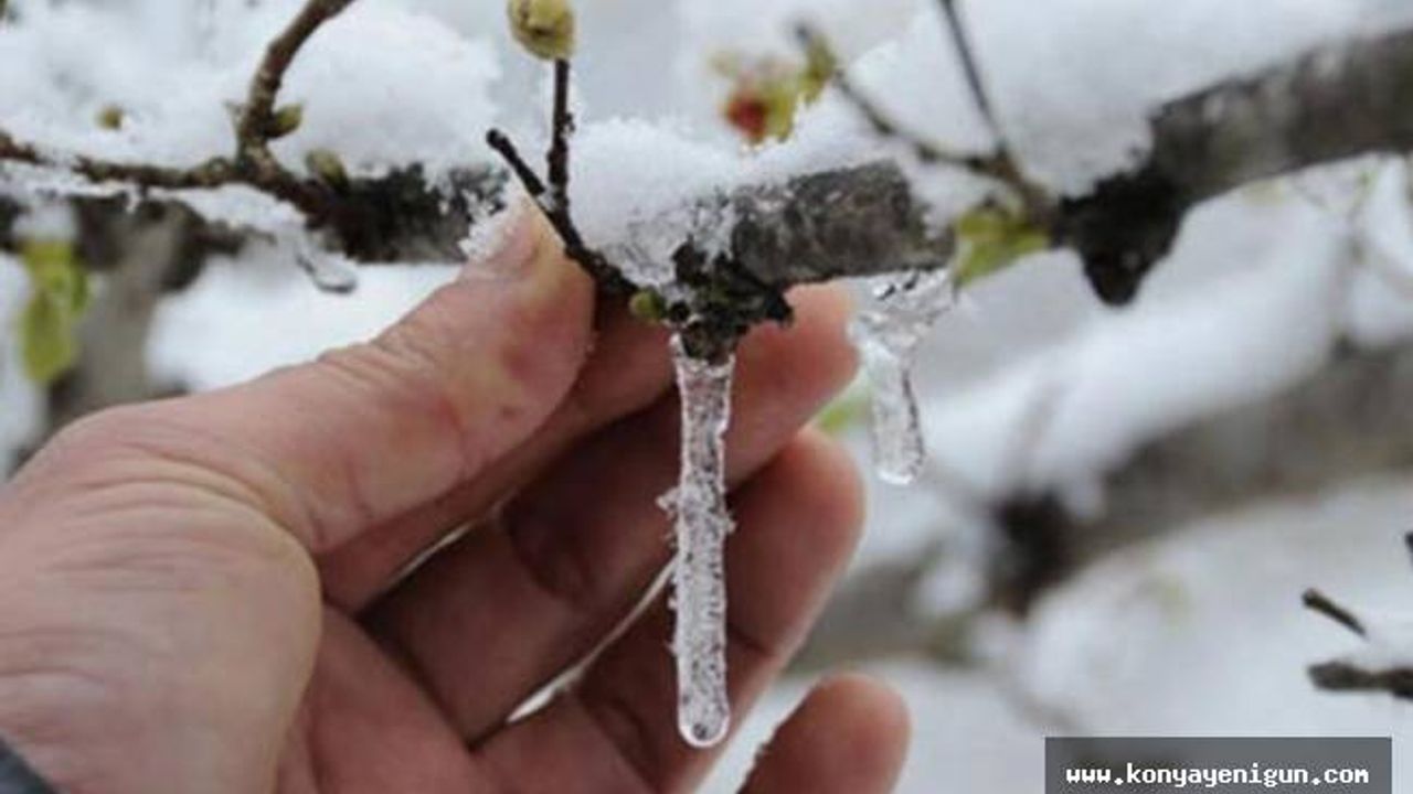 Meteoroloji zirai don uyarısı yaptı