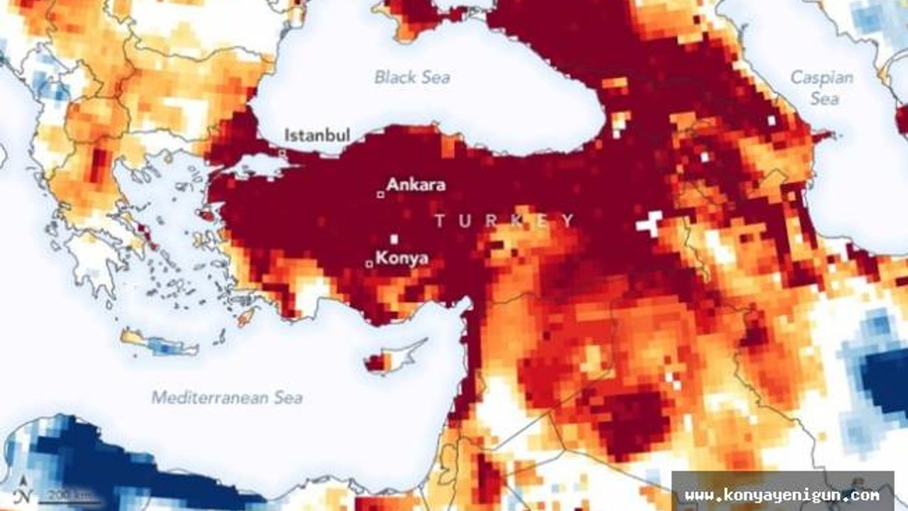 WWF'den Türkiye'ye uyarı: Aralarında Konya da var