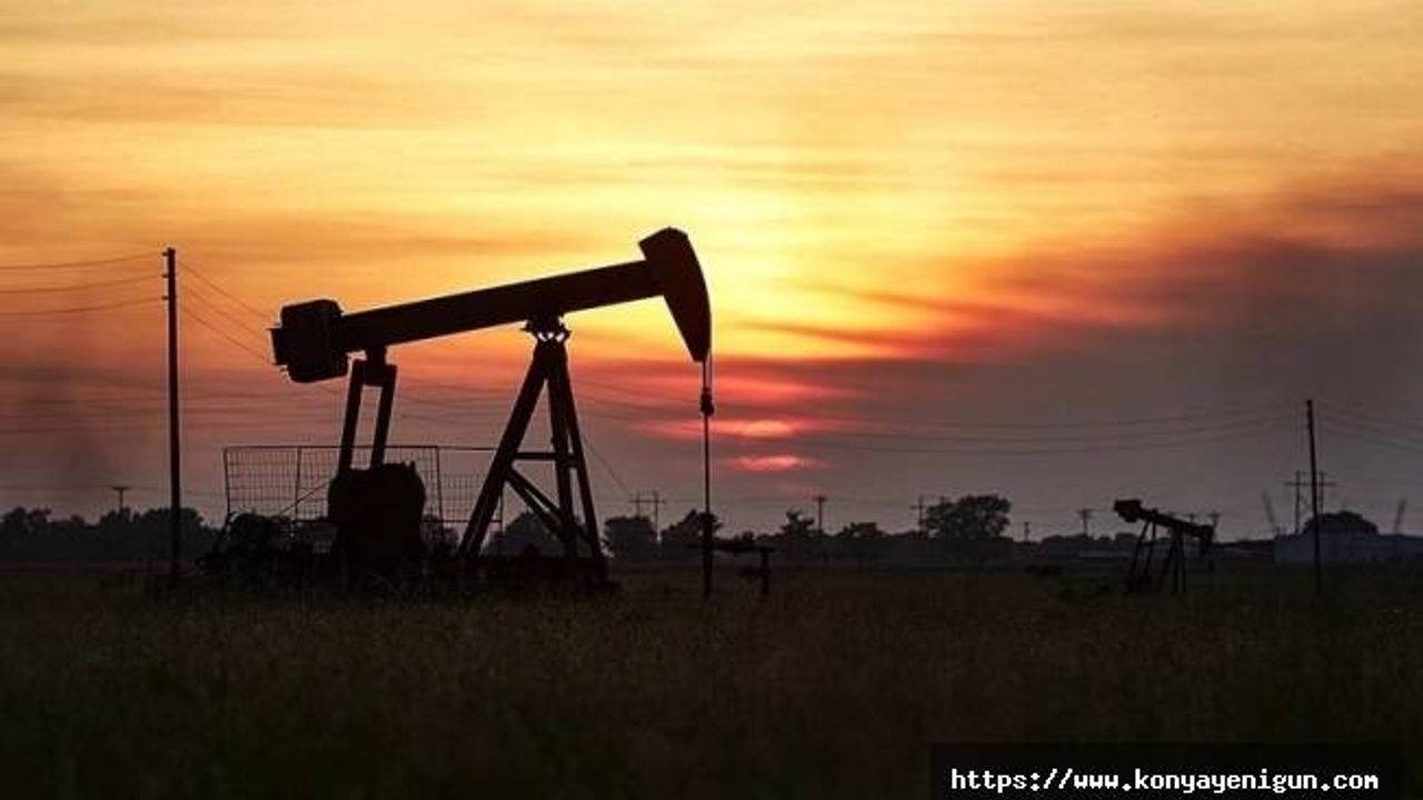 Yüksek akaryakıt fiyatlarına karşı petrol tüketicisi ülkelerden ortak hamle