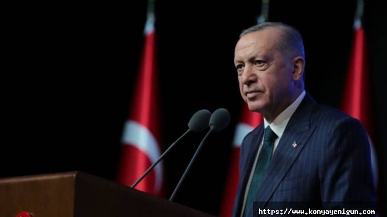 Başkan Erdoğan'dan döviz kuru açıklaması