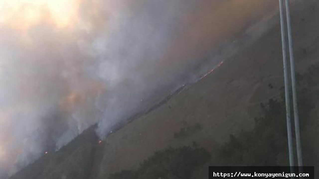 Kazakistan’da çıkan orman yangınında 1 kişi öldü, 100'den fazla ev zarar gördü
