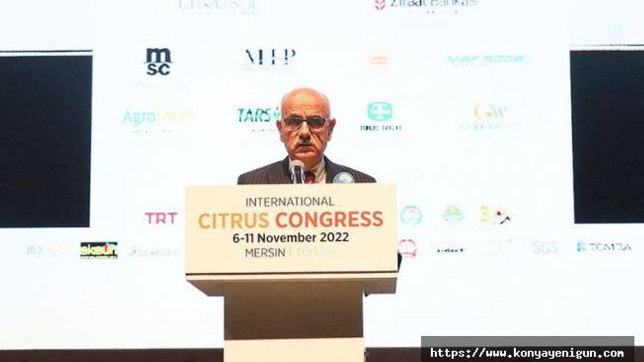 Kirişci: Gıda arz güvenliliğinin sürdürülebilirliği açısından tahıl koridorunun açık tutulması zorunluluktur