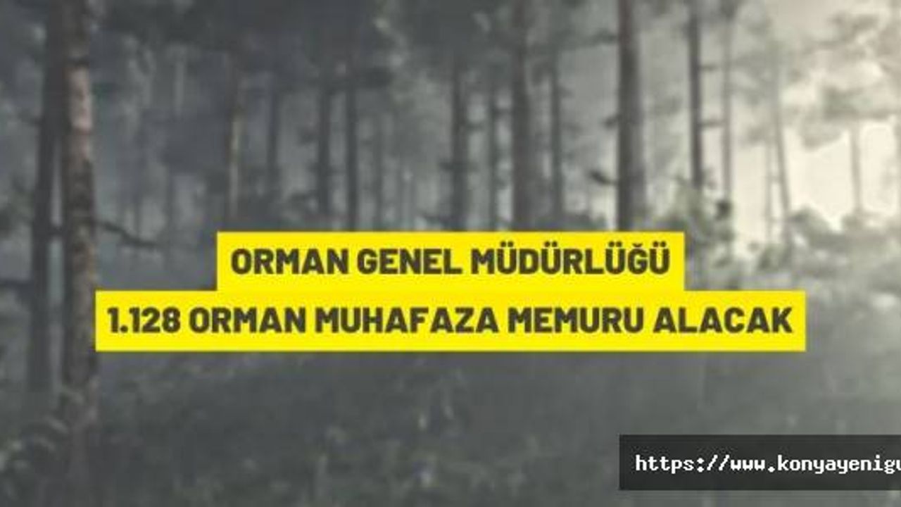 Orman Genel Müdürlüğü 1.128 orman muhafaza memuru alacak