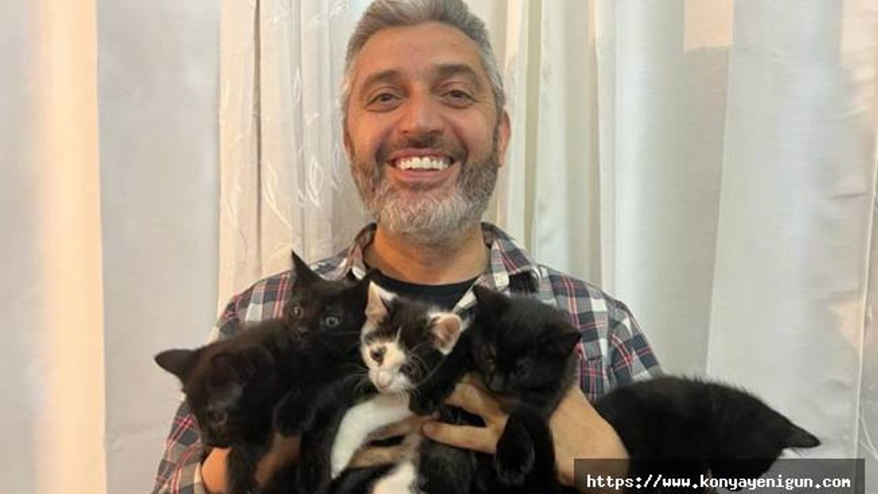 ABD’de kedi sevdalısı Türk, yavruları “depremzedelere bağış” şartıyla sahiplendiriyor