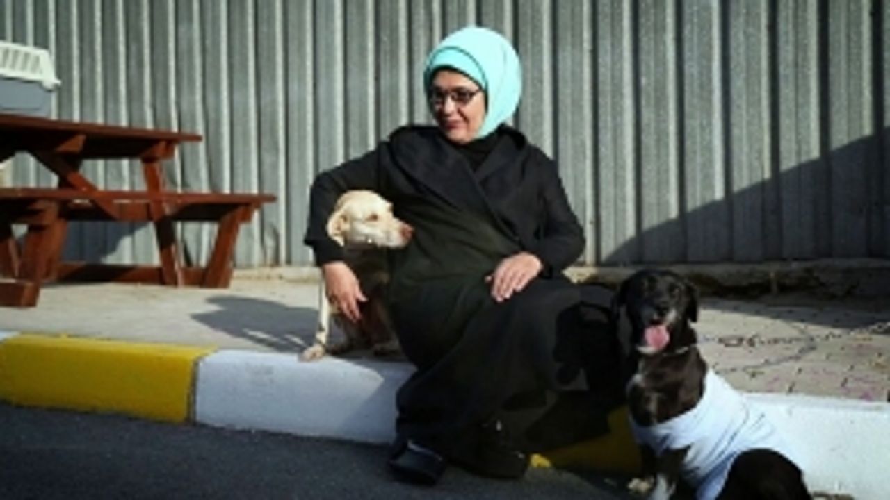 Emine Erdoğan, barınaktaki 'Leblebi' isimli engelli köpeği sahiplendi