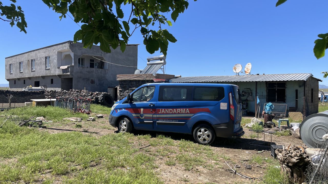 Şanlıurfa’da akılalmaz olay: Evdeki yılanı vurmak isterken ailesini yaraladı