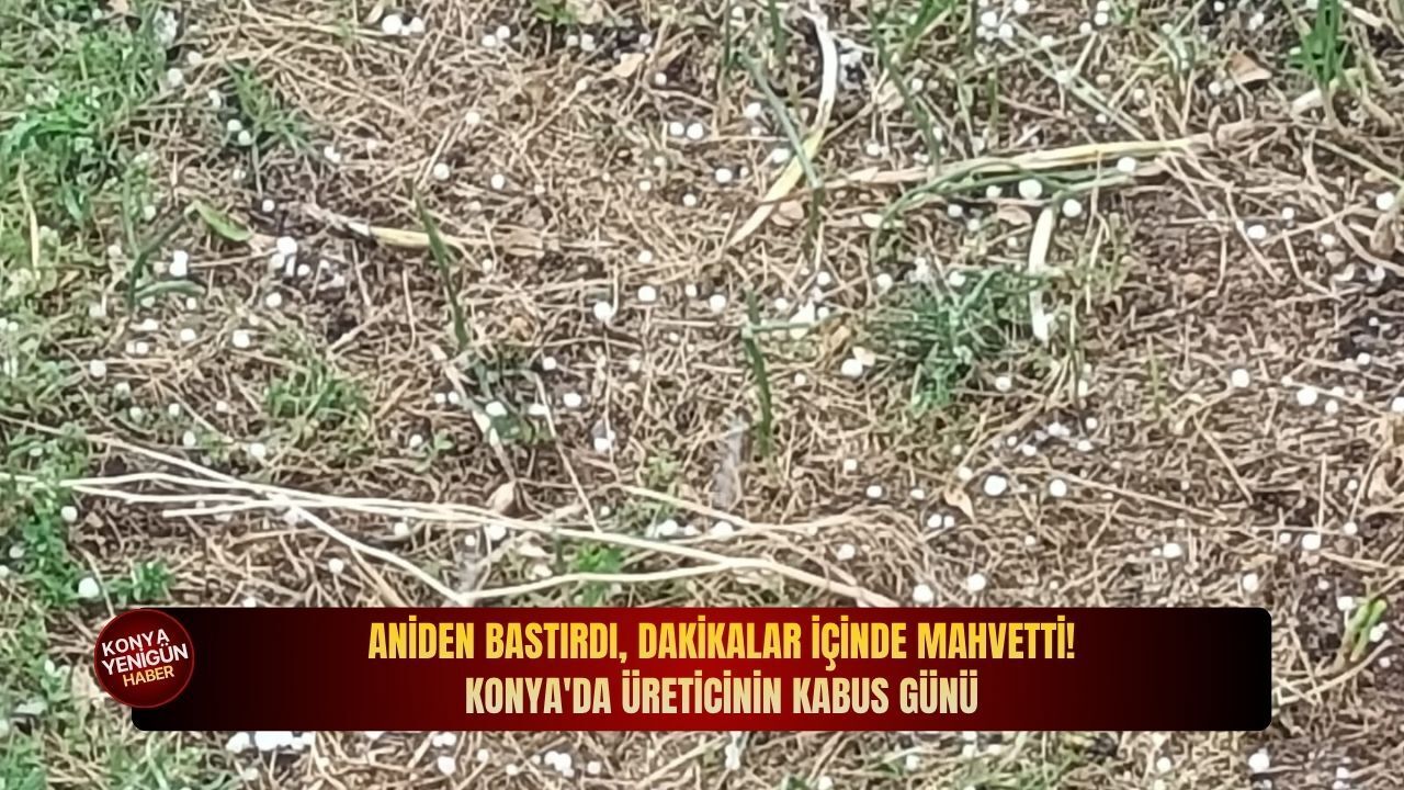 Aniden bastırdı, dakikalar i̇çinde mahvetti! Konya'da üreticinin kabus günü