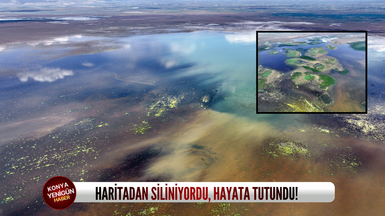 Konya'daki göl, haritadan siliniyordu, hayata tutundu!
