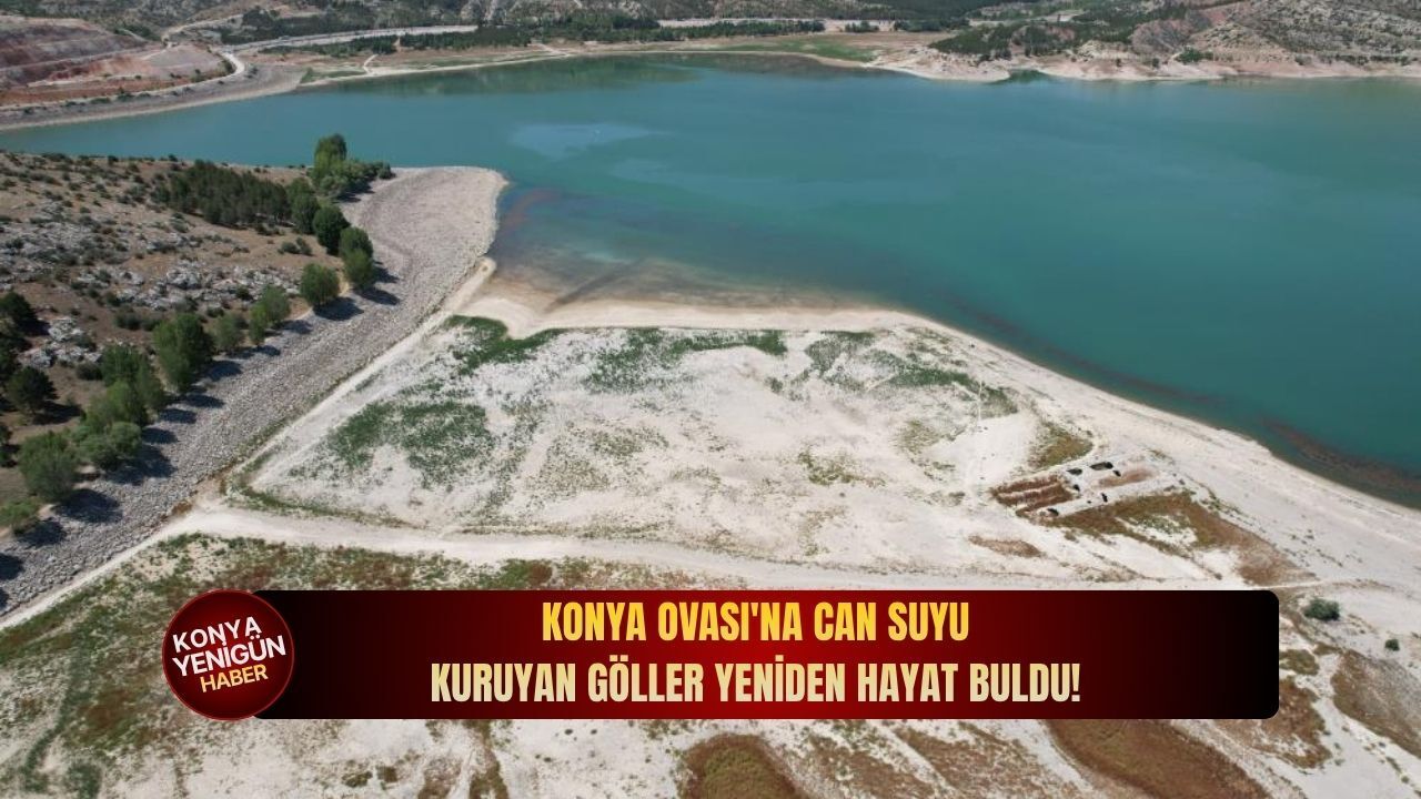 Konya Ovası'na can suyu: Kuruyan göller yeniden hayat buldu!