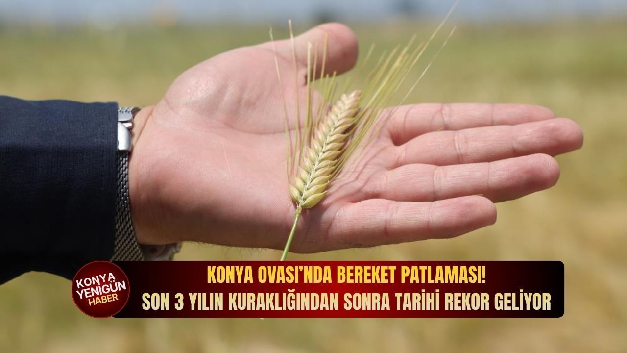 Konya Ovası’nda bereket patlaması: Son 3 yılın kuraklığından