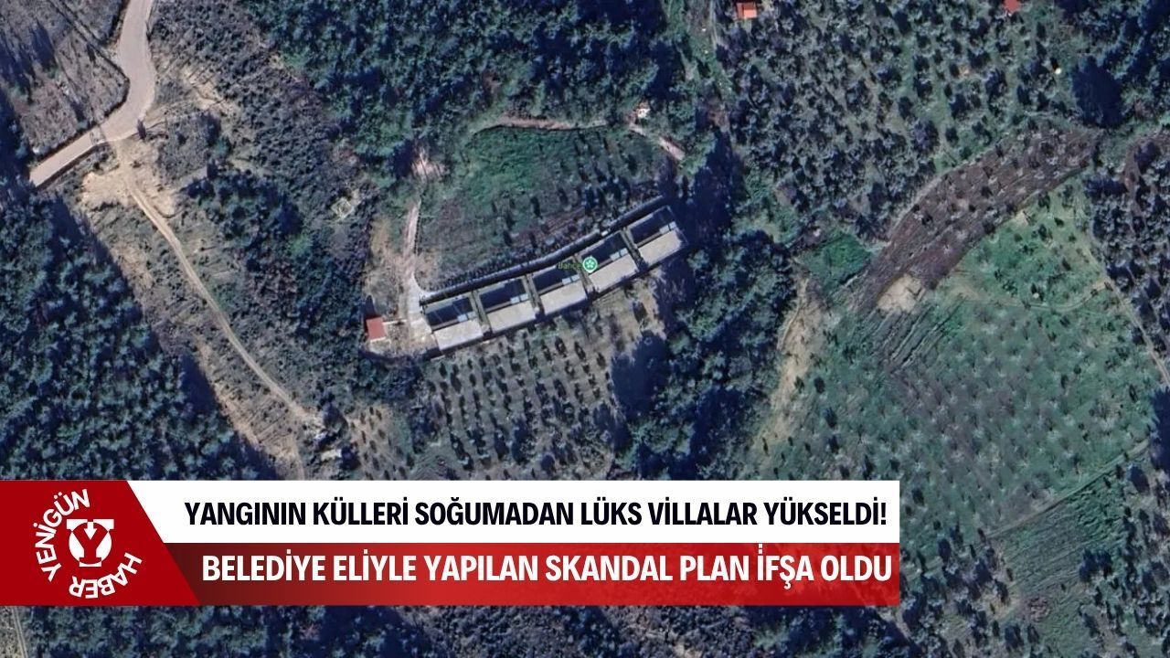 Yangının külleri soğumadan lüks villalar yükseldi! Belediye 