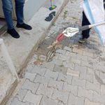 Evde yılan şoku! İtfaiye ekipleri dakikalar içinde harekete geçti