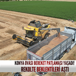Konya Ovası bereket patlaması yaşadı! Rekolte beklentileri aştı