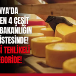 Konya'da üretilen 4 çeşit peynir, bakanlığın kara listesinde!
