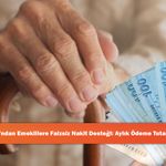 Ziraat Bankası'ndan Emeklilere Faizsiz Nakit Desteği: Aylık Ödeme Tutarı Dikkat Çekti!