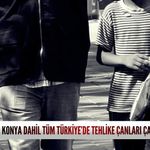 Konya dahil tüm Türkiye’de tehlike çanları çalıyor!