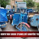 Konya’nın sokak efsaneleri sanayide yaşıyor!