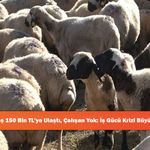 Maaş 150 Bin TL’ye Ulaştı, Çalışan Yok: İş Gücü Krizi Büyüyor!