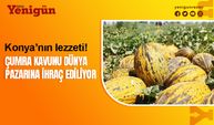 Konya Ovasından dünya pazarına ihraç ediliyor!