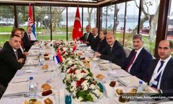 Bakan Soylu, Sırp mevkidaşı ile bir araya geldi