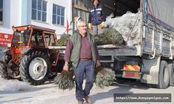 Büyükşehir destekliyor, lavanta üretimi artıyor