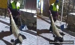 Hem çevreyi temizliyor hem de sokak kedisine süpürgesi ile masaj yapıyor