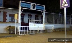 Kars'ta bozayı okul bahçesine girdi