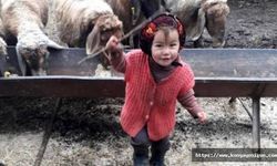Müslüme'nin gözaltına alınan yakınları adliyeye sevk edildi