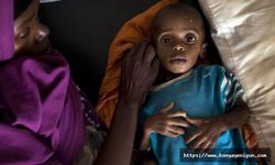 Somali'de kuraklık nedeniyle 3 kişi öldü