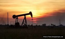 Yüksek akaryakıt fiyatlarına karşı petrol tüketicisi ülkelerden ortak hamle
