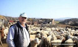 Gübre ve yem fiyatlarındaki indirim üreticileri sevindirdi