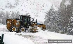Halkapınar'da kürüme çalışması yapıldı