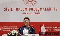 Sivil Toplum Vizyon Belgesi ve Eylem Planı yarın açıklanacak