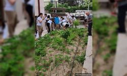 Okul bahçesinde organik tarım projesi