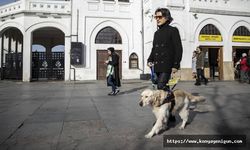 Görme engelli dostlarının hayatlarına bir çift gözle rehberlik ediyorlar