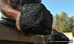 Küresel kömür talebinin bu yıl tüm zamanların en yüksek seviyesine ulaşması bekleniyor