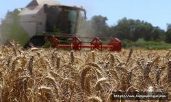 115,5 milyon liralık tarımsal destekleme ödemeleri bugün çiftçilerin hesaplarına yatırılacak
