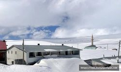 Doğu Anadolu'da kar yağışı etkili oluyor