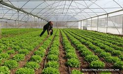 Deprem bölgesinde seracılık sürdürülüyor
