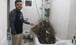 Tatilden evine dönen vatandaş gördüğü manzara karşısında şaşkına döndü