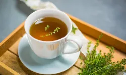 Sağlık deposu: Kekik çayı