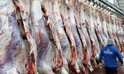 Kırmızı et üretimi 2 milyon tonu geçti