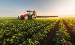 Tarım-ÜFE yıllık yüzde 50,79 oranında arttı