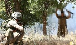 Sözde lider 2 PKK’lı terörist yakalandı