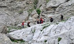Konya'da kayalıklarda mahsur kalan keçiler kurtarıldı