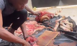 Mame Thiam ailesi ile kurban bayramını kutladı