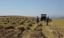 Siirt'te bayramda da hasat sürüyor