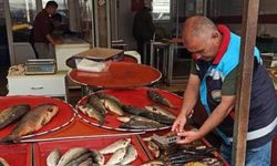 Beyşehir'de balık boy denetimleri